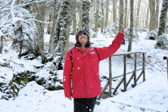 Progetto senza titolo - 3